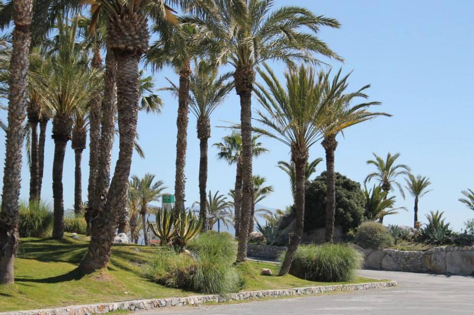 Coral Paradise Apartment With Swimming Pool La Herradura  Εξωτερικό φωτογραφία